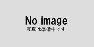 noimage